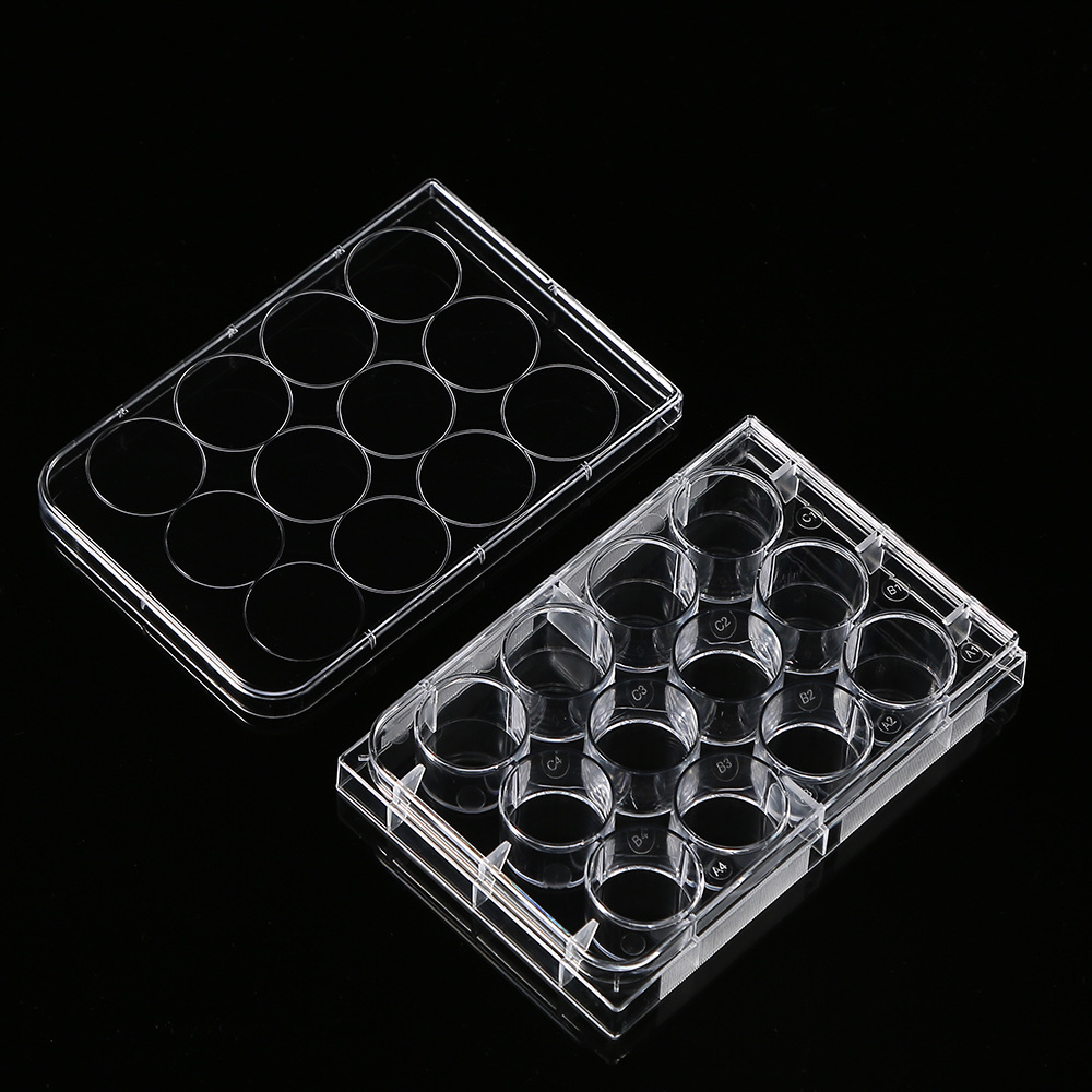 ポリスチレン花びら皿、文化皿、実験室用12穴、医療生物科学実 - Medical Wellness & Spa Werona のレビューと価格